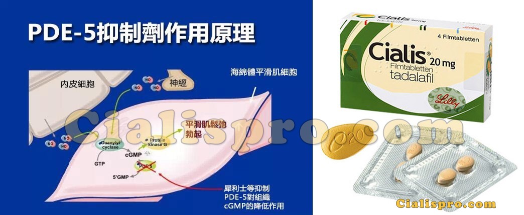 犀利士作用機理示意圖-PDE5抑制劑增強陰莖勃起原理
